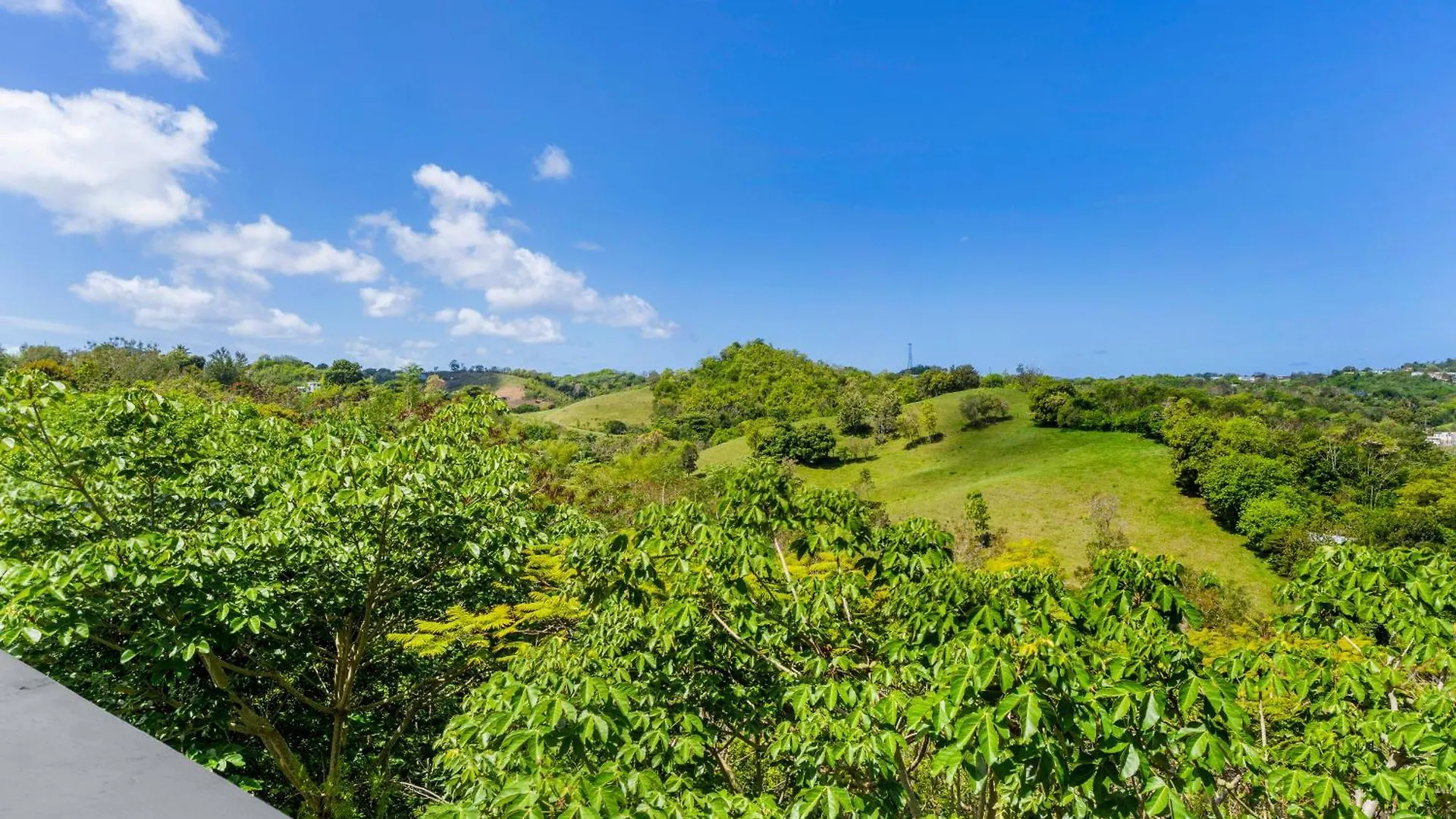 빌라 Tropical Paradise In Rincon 아구아다